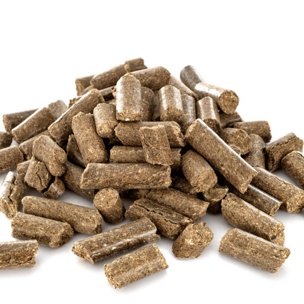 Pellet Feed