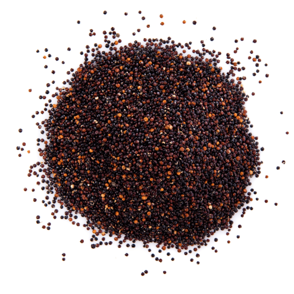 Mustard Seeds (Rai)