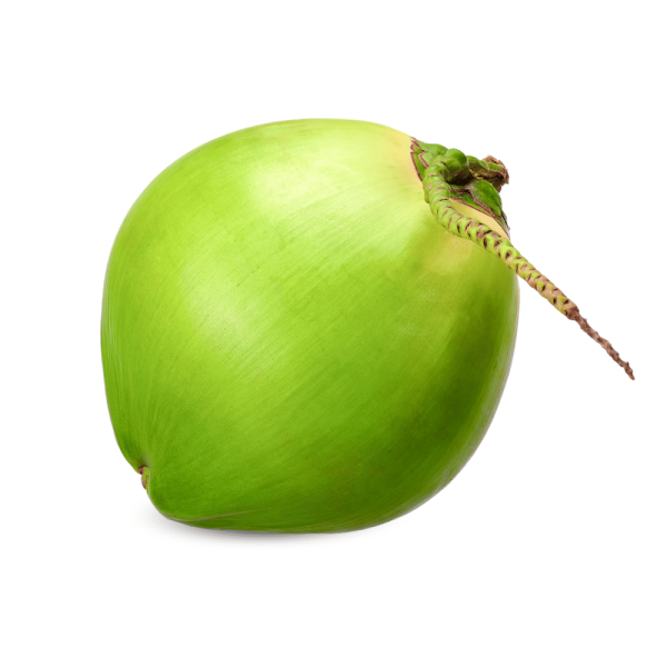 Coconut