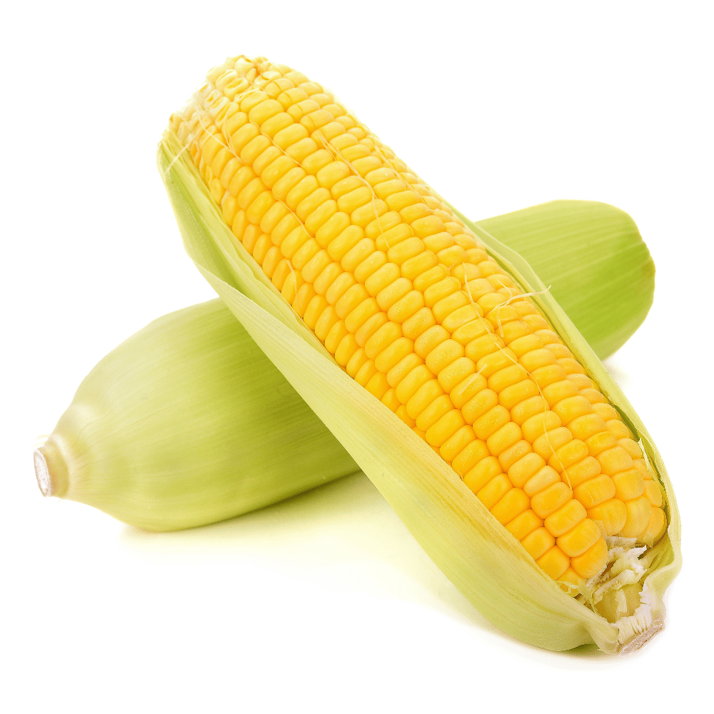 Corn