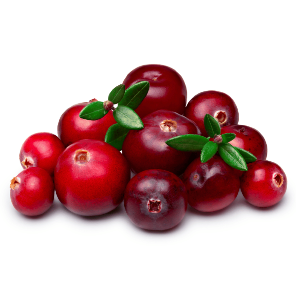 Cranberries (Karonda)