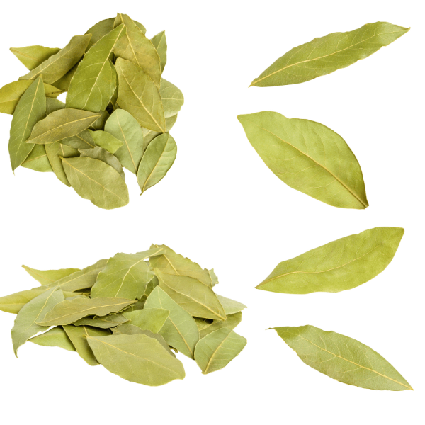 Curry Leaves (Kadhi Patta)