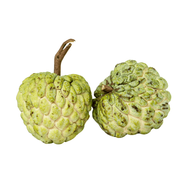 Custard Apple