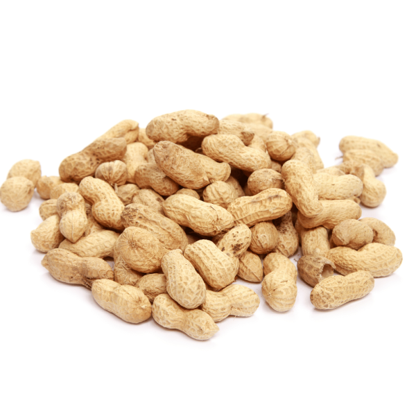 Groundnut