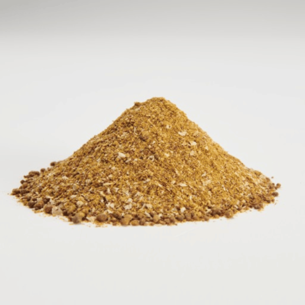 Corn DDGS